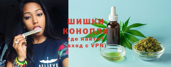 крисы Мегион